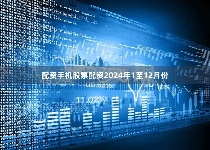 配资手机股票配资　　2024年1至12月份